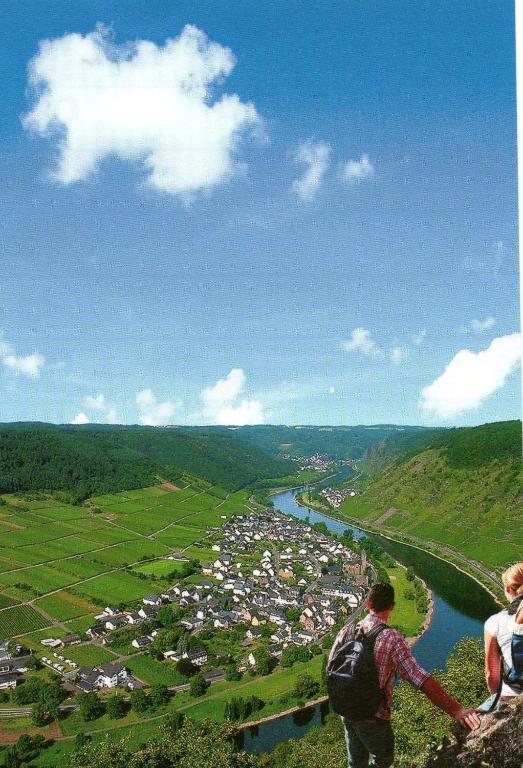 Apartmán Moselwinzerhaus Bruttig-Fankel Exteriér fotografie